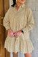 Brown Stripe Collared Dress LT